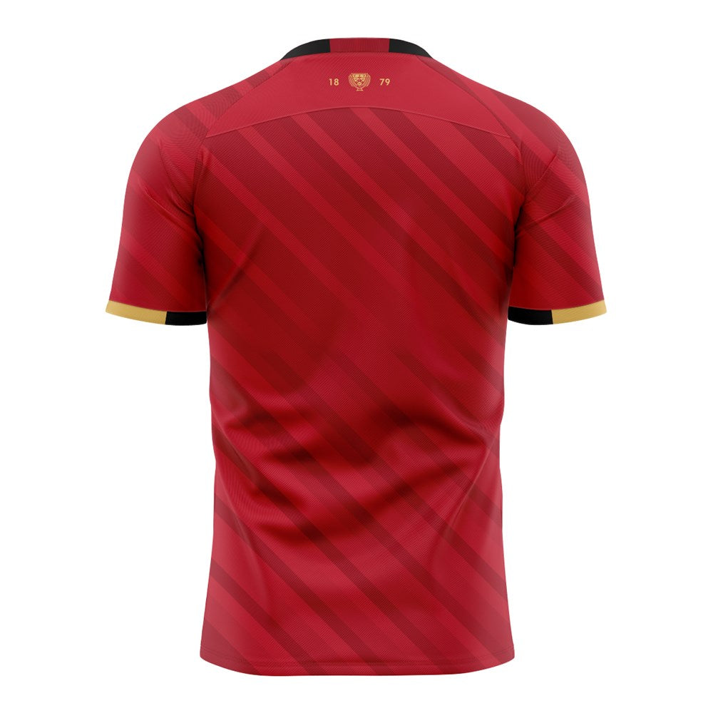 2025 Canterbury Rugby Mens Training Tee - Red