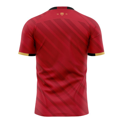 2025 Canterbury Rugby Mens Training Tee - Red